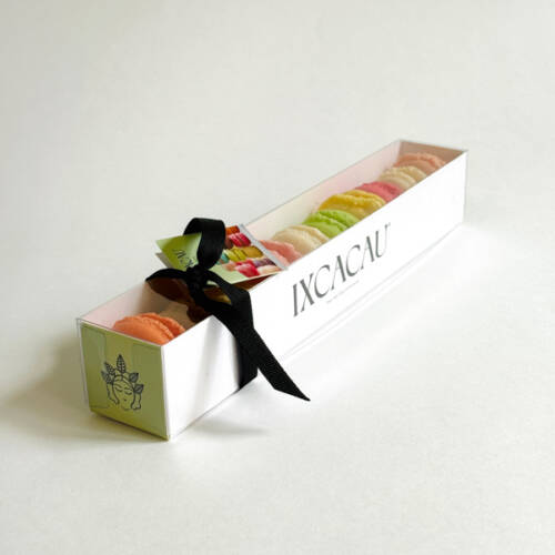 Macarons caja x 10 unidades